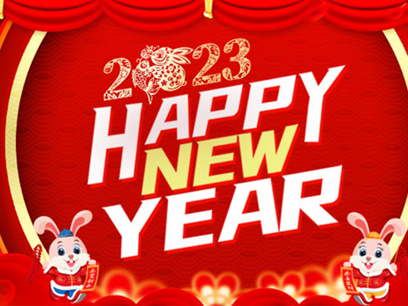 Happy New Year-2023 Year of the Rabbit LISSON packaging